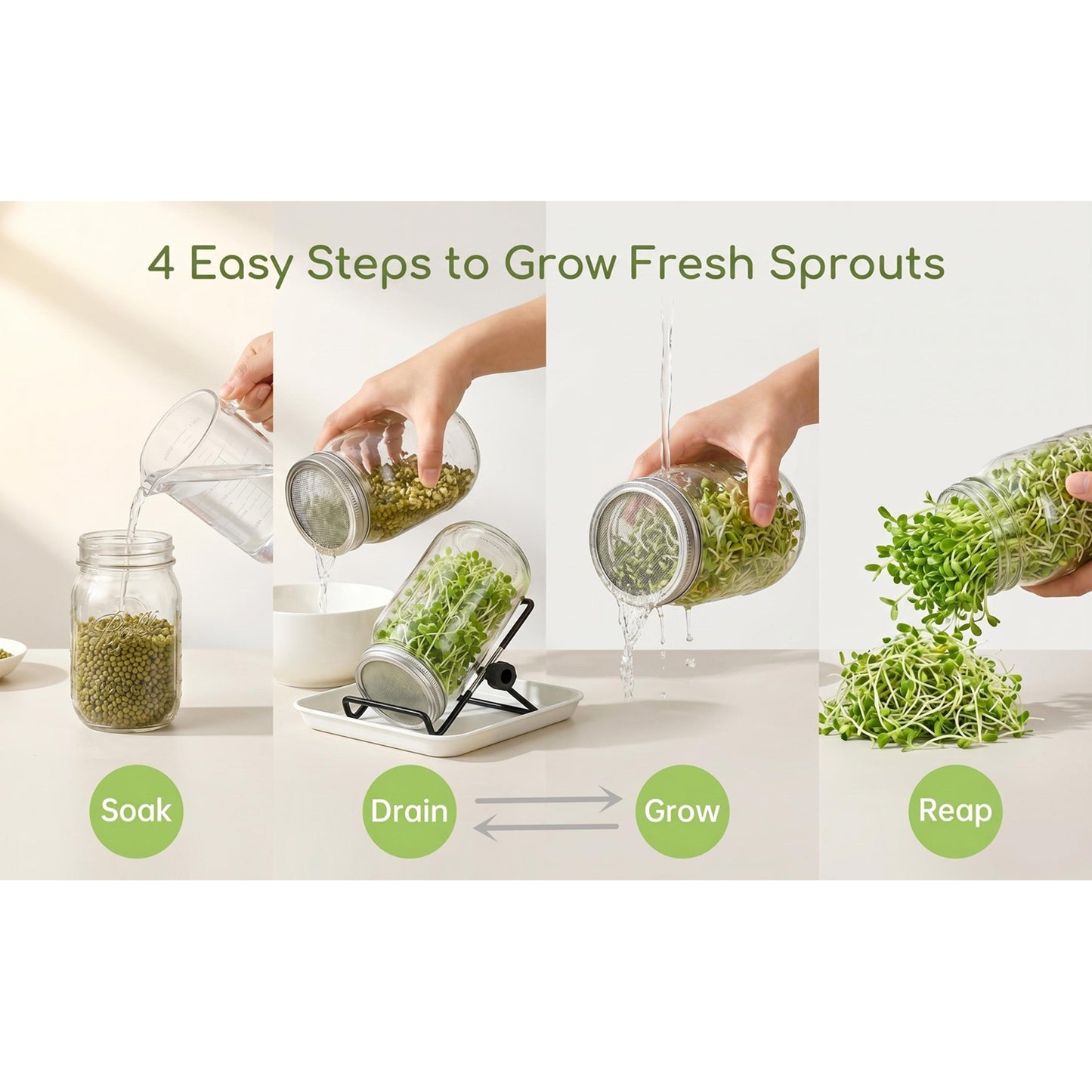 2 Set Sprouting Jar Kit, 32oz Wide Mouth Mason Jars with Sprout Lids, Stand, Drain Tray & Blackout Sleeves - Seed Sprouter Kit for Growing Mung Beans, Broccoli, Alfalfa Microgre