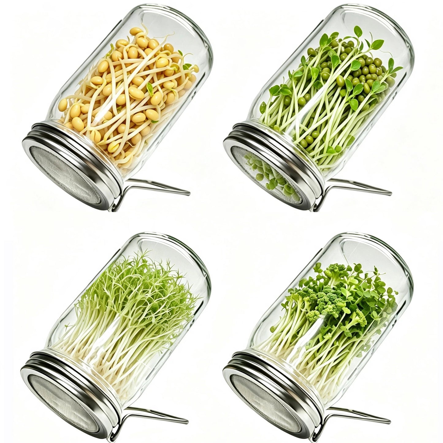 4 Pcs Wide Mouth Mason Jar Sprouting Lids, 2-in-1 Stainless Steel Reusable Germination Lid with Integrated Support Stand for Seed Sprout Growing